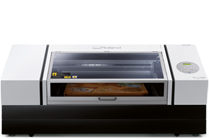 VersaUV LEF2-300D, LEF2-300, LEF2-200